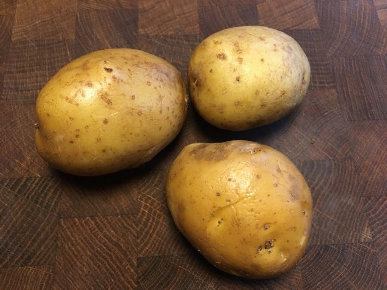 Kartoffel La Ratte Hoflädchen Ochsenschläger